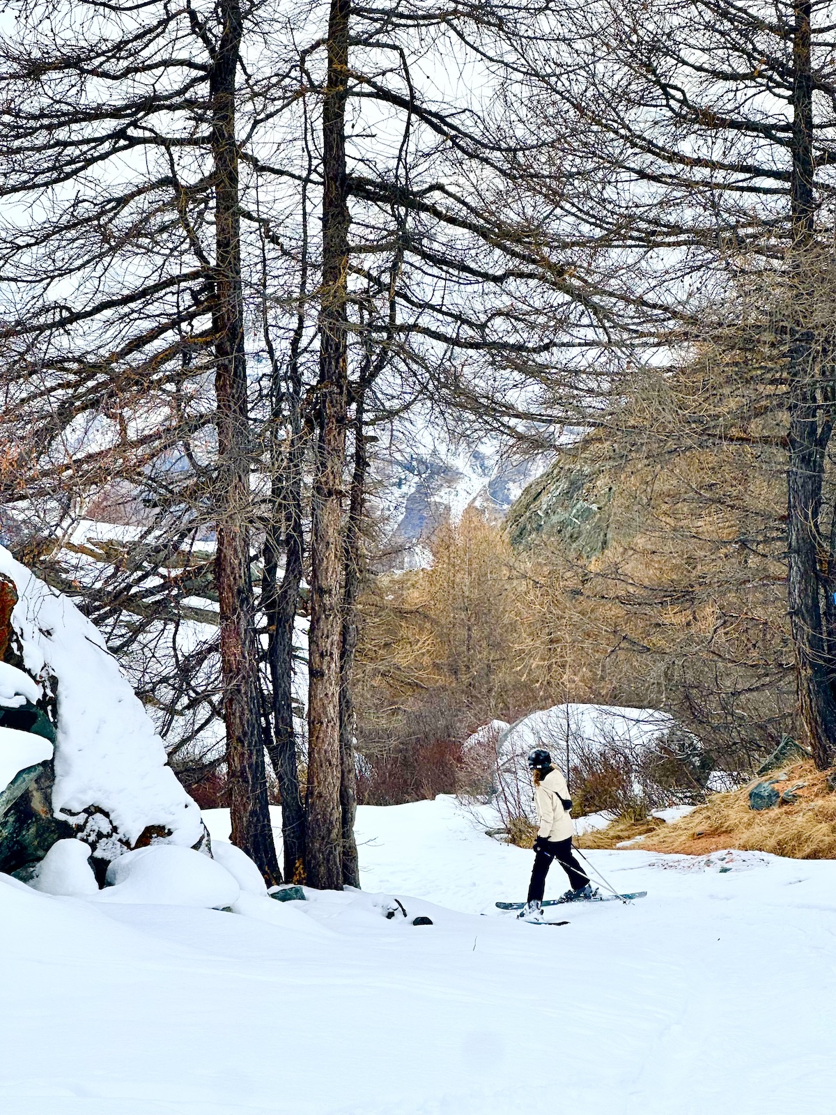 yahli skier nature lover zermatt